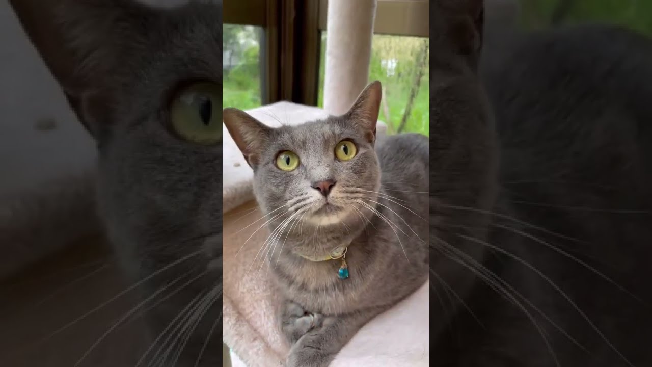 雨大好き☔️眞魚りん💕可愛いく撮れました📹