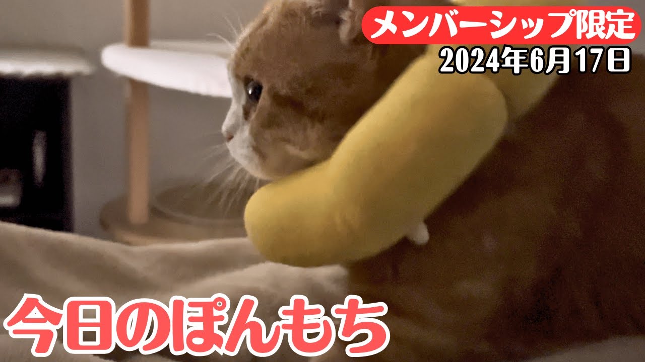 【特別公開】この動画は6月17日にメンバー限定で公開した動画です！