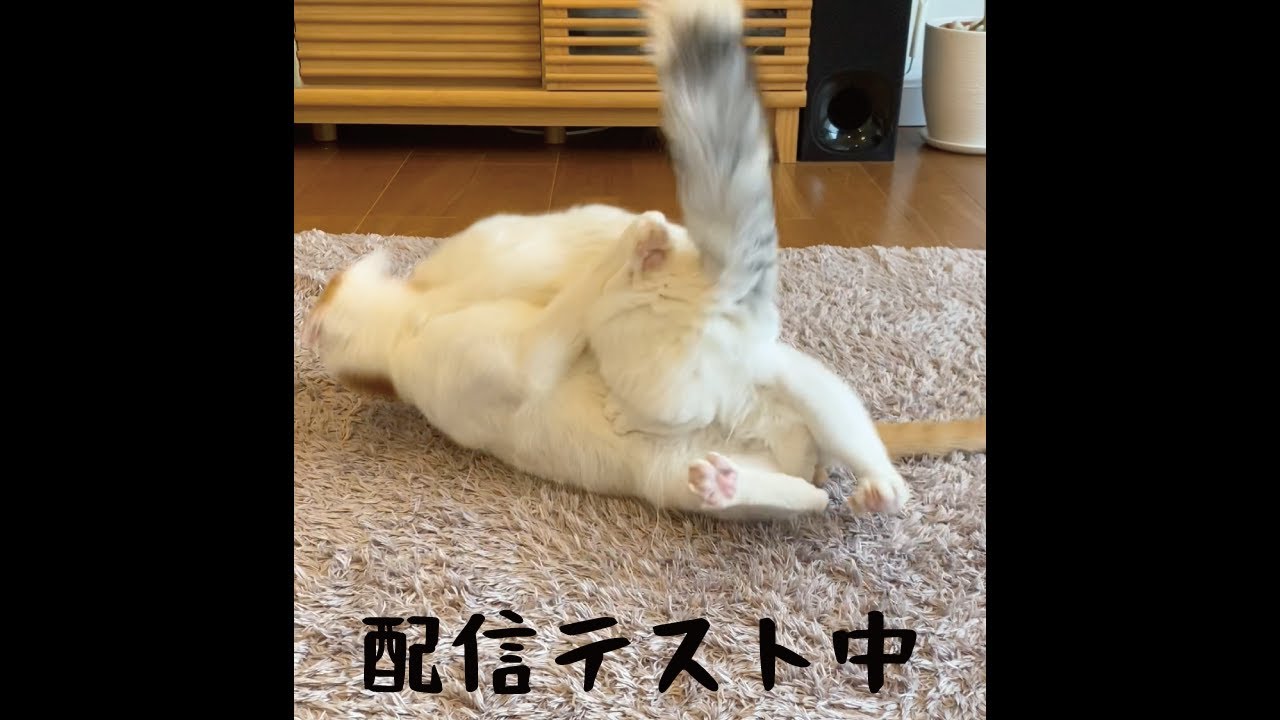 ※注※　テスト中です