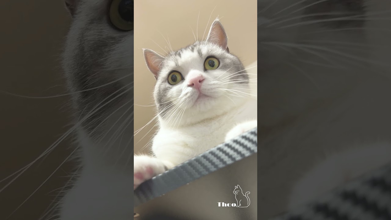 下から撮るんじゃないよ