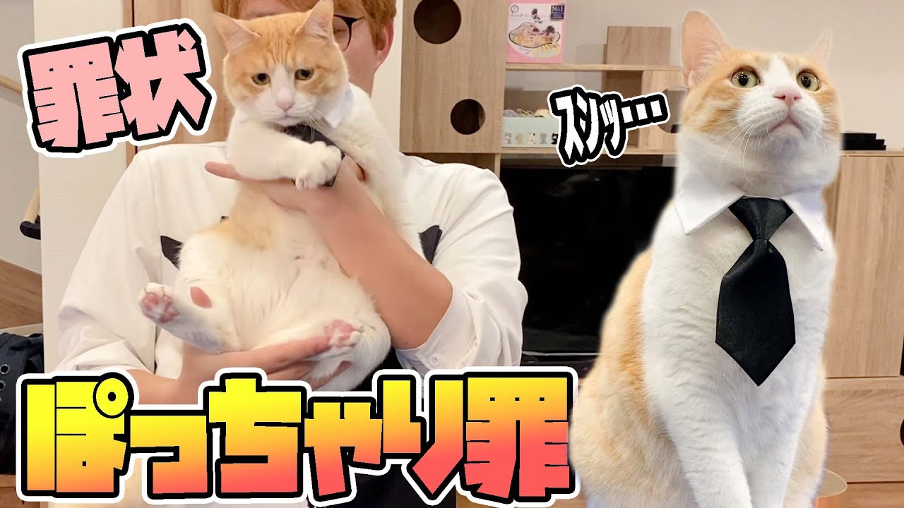 ちょっぴりメタボなリーマンを捕らえました！
