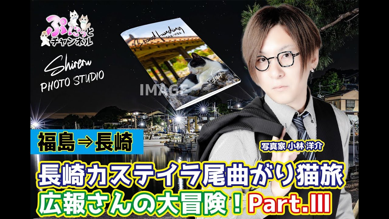 長崎カステイラ尾曲がり猫旅！クラファン開始！！ #猫 #ねこ #cat #shorts