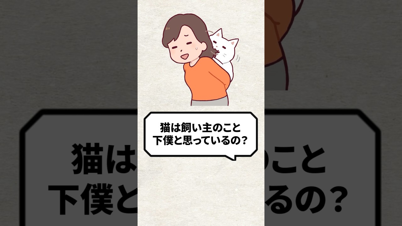 Q：猫は飼い主のことを下僕だと思ってる？ #猫 #猫好き #ねこ