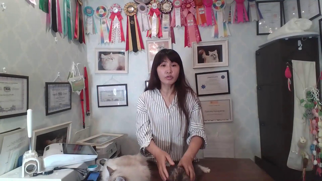 【モカのフライデーニャンニャンLIVE】
