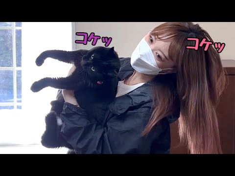 「もう帰っちゃうぽ？」っと首をかしげる猫さん