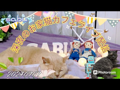深夜のお家猫カフェライブ配信　１０７