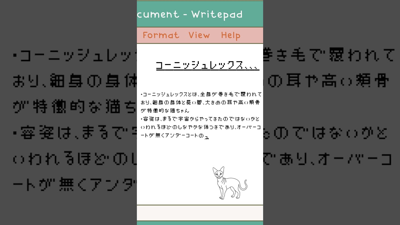 【コーニッシュレックス】ペットリフォームならセラフ榎本　犬猫のためのリフォーム　愛猫　ペット快適環境