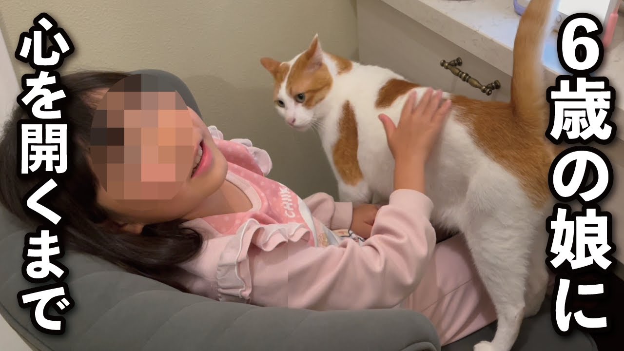 甘えんぼ猫が娘に心を開くまでの軌跡を辿りました…【甘えんぼ猫】