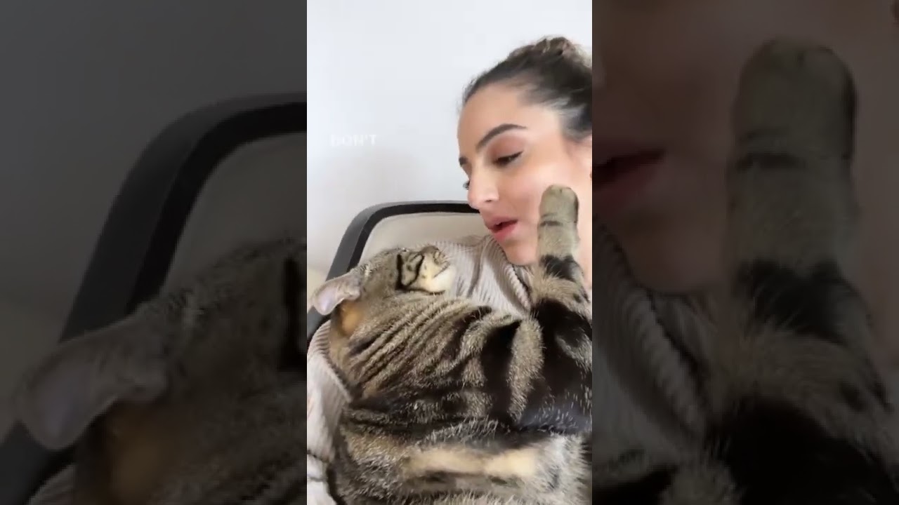 HE LOVES TO BUG ME 😹 #shorts