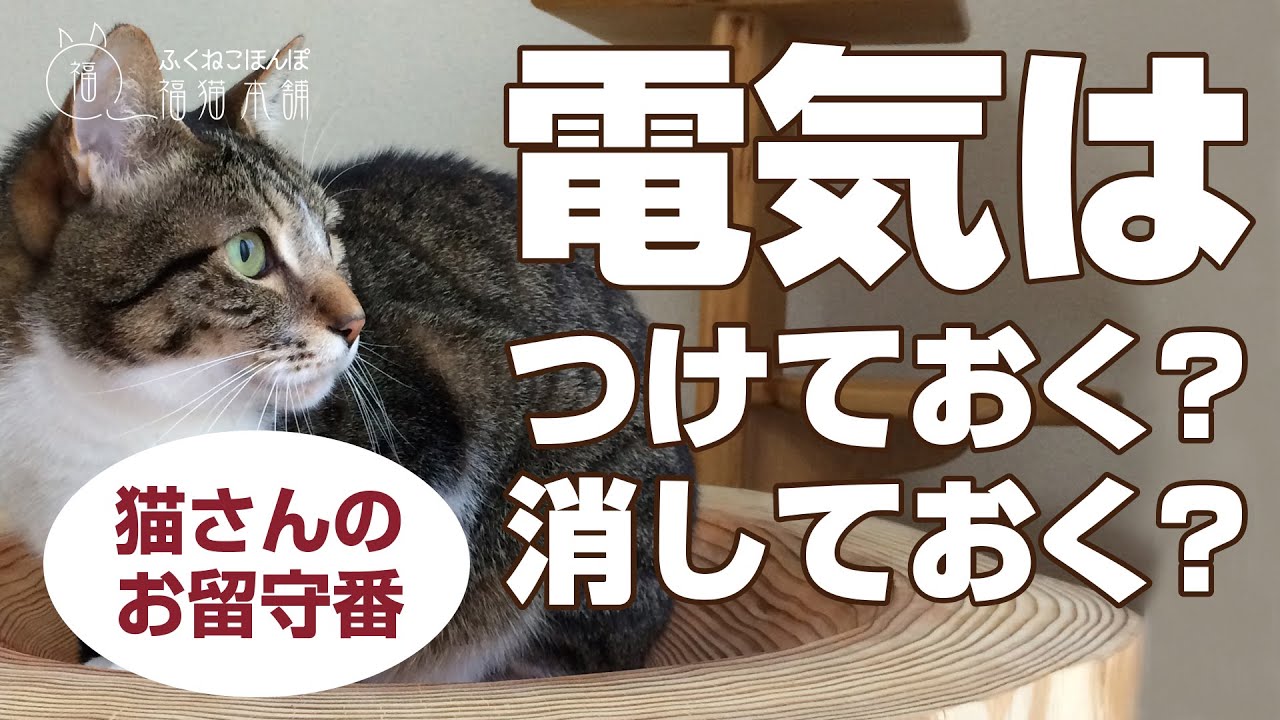 「猫さんのお留守番　電気はつけておく？消しておく？」福猫本舗・しあわせ猫暮らし
