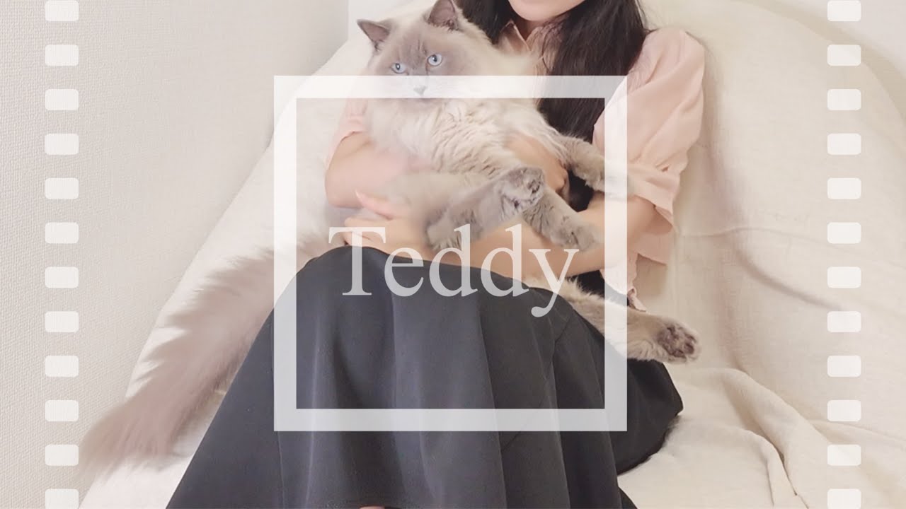 〔Vlog〕テディが YouTubeデビューしました！