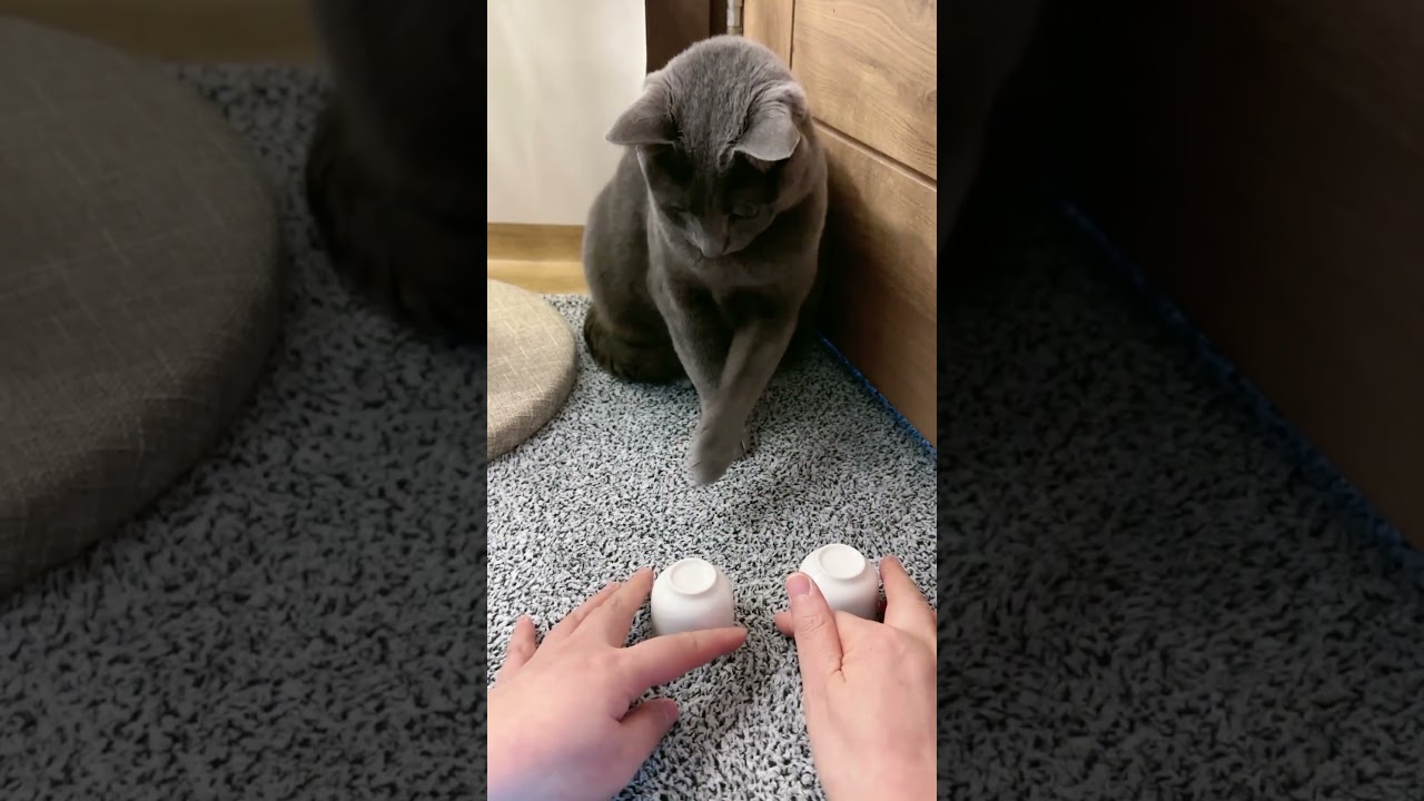 집사님 빠르게 부탁드려요