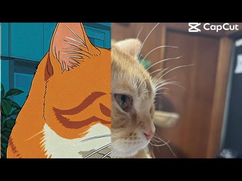 写真がジブリ風に変身！Transforming Photos into Ghibli Style!