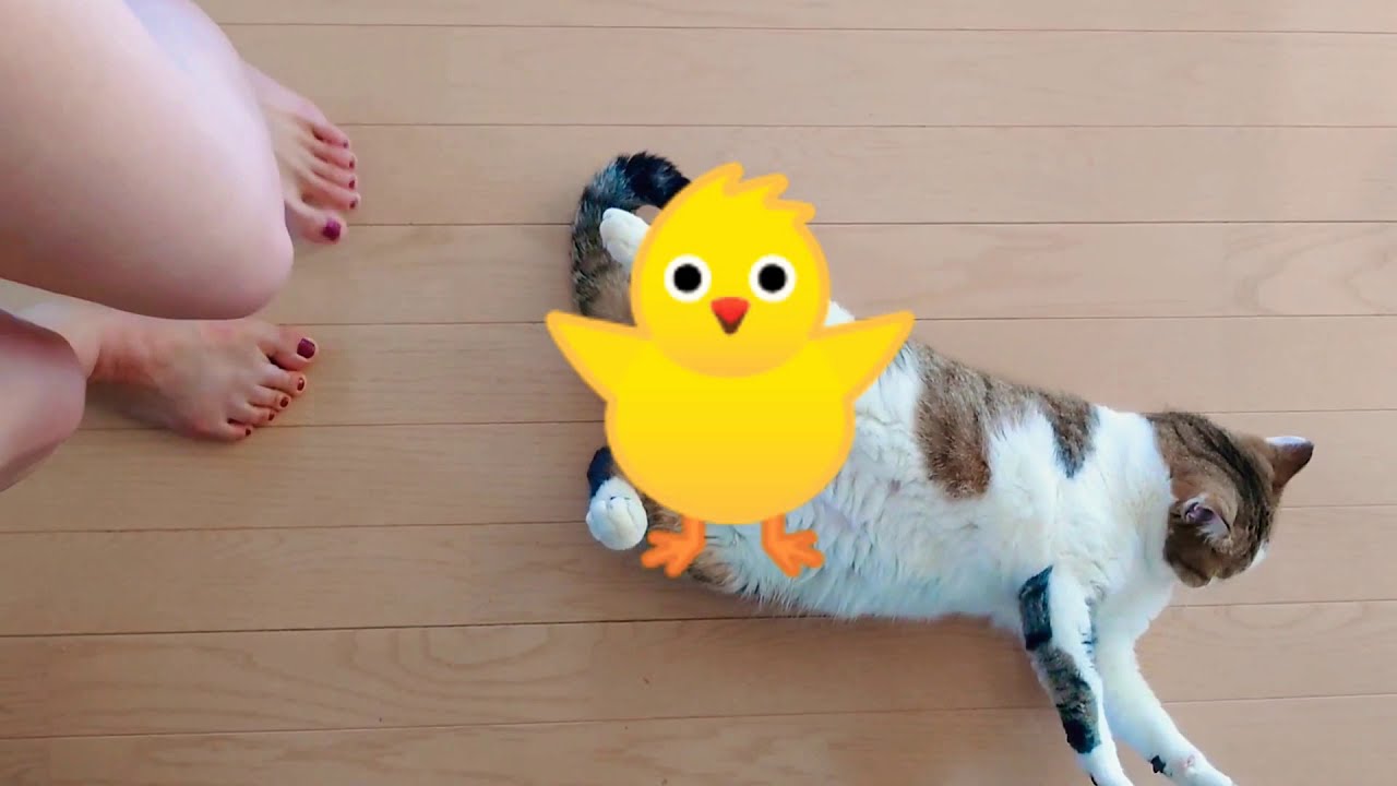 生足にへそ見せてるよ👣 #shorts