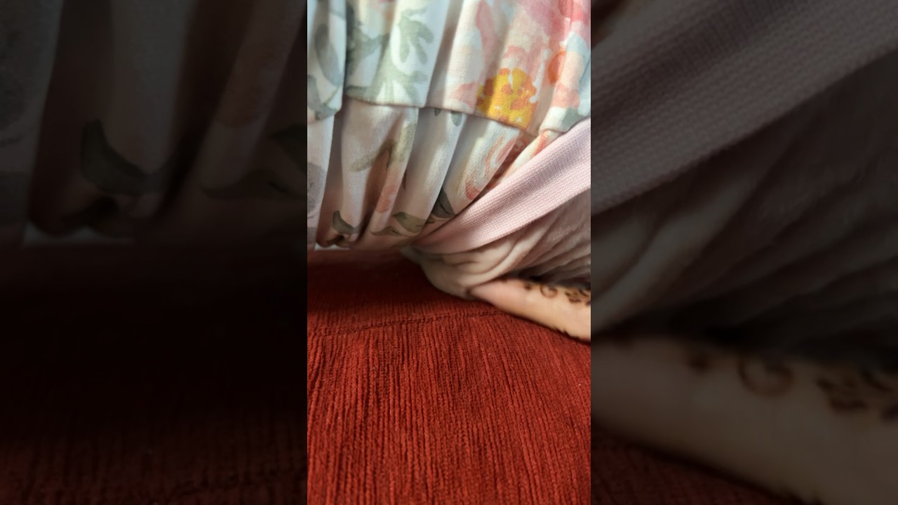 たぷたぷのお腹が可愛い毛のない猫【スフィンクス猫】