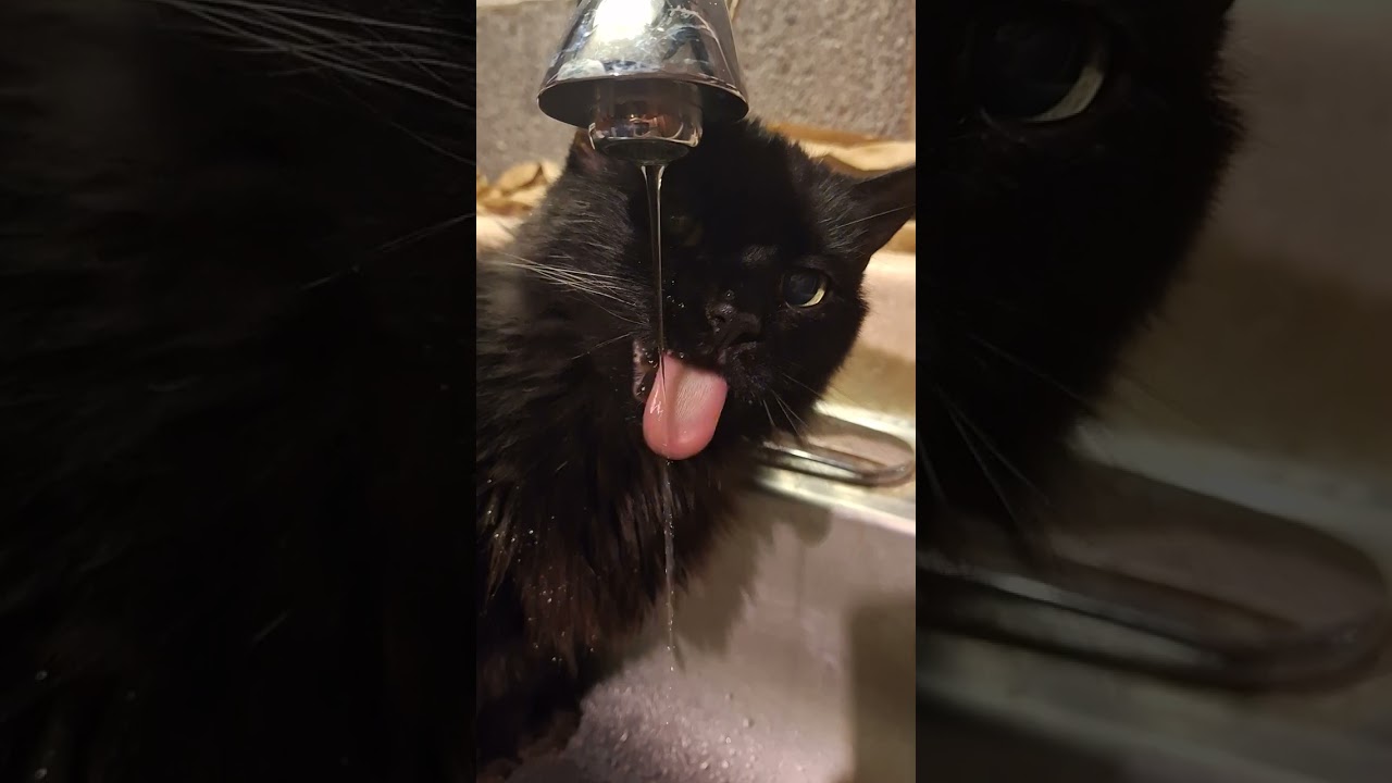 HAPPY 14TH TO MY LOVELY MAI