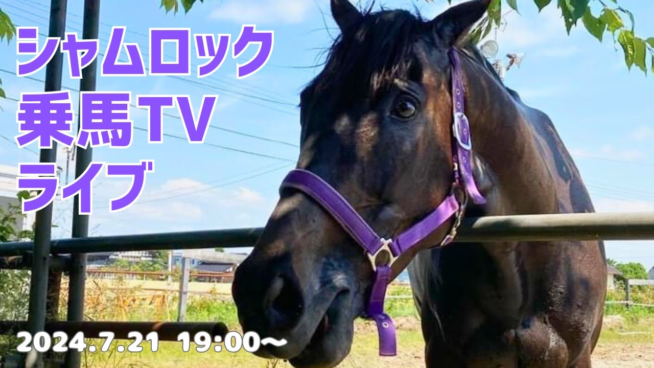 シャムロック乗馬TVライブ！第二四半期　ゲスト:ホーステーピング　青野さん