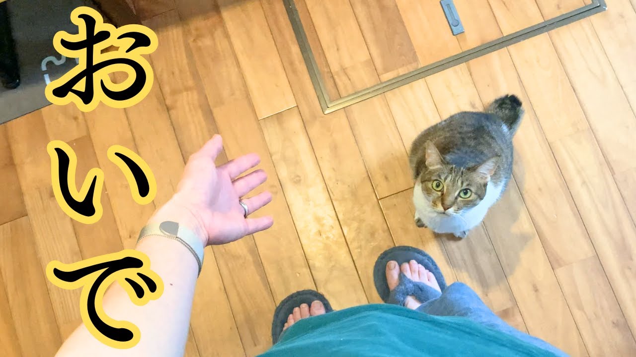 久々なのにジャンプを覚えててくれてたきーちゃんが本日も可愛いすぎました♡