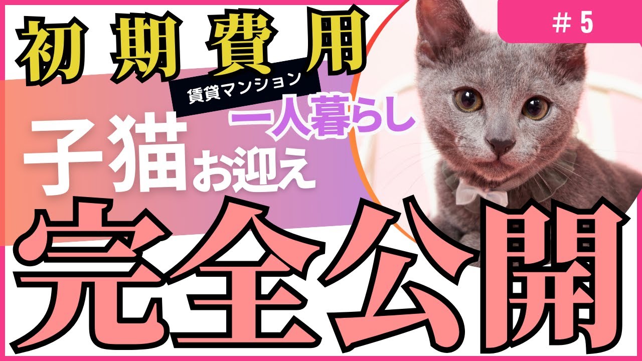 猫のお迎え初期費用完全公開：賃貸マンション一人暮らしOLの場合