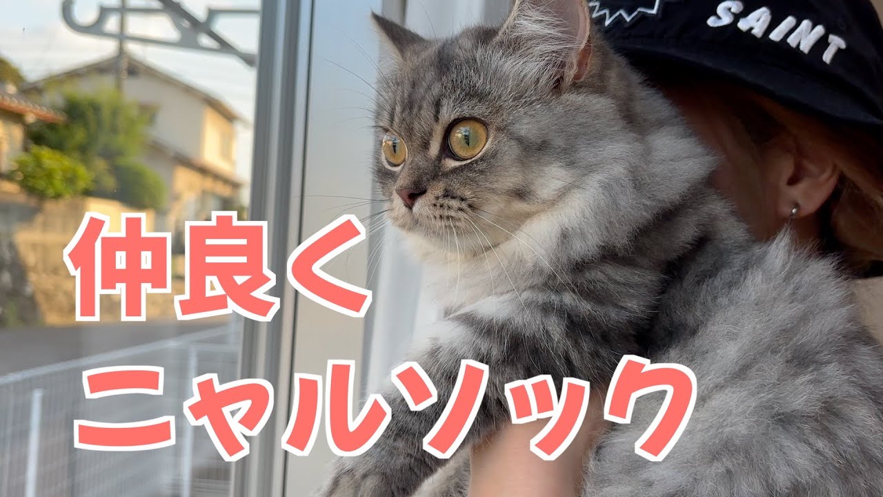 仲良しコンビ復活❗️二人だけの謎の遊びにも注目ですw