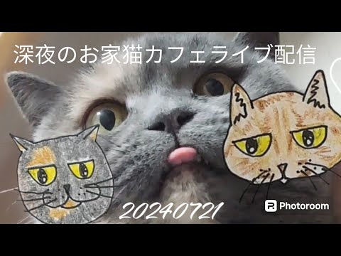 深夜のお家猫カフェライブ配信　１２１