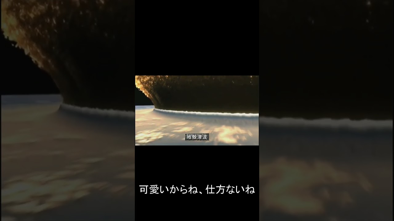 猫の前足ちょいは可愛くて破壊力がある､､､ #ソマリ #cat #kmg #shorts