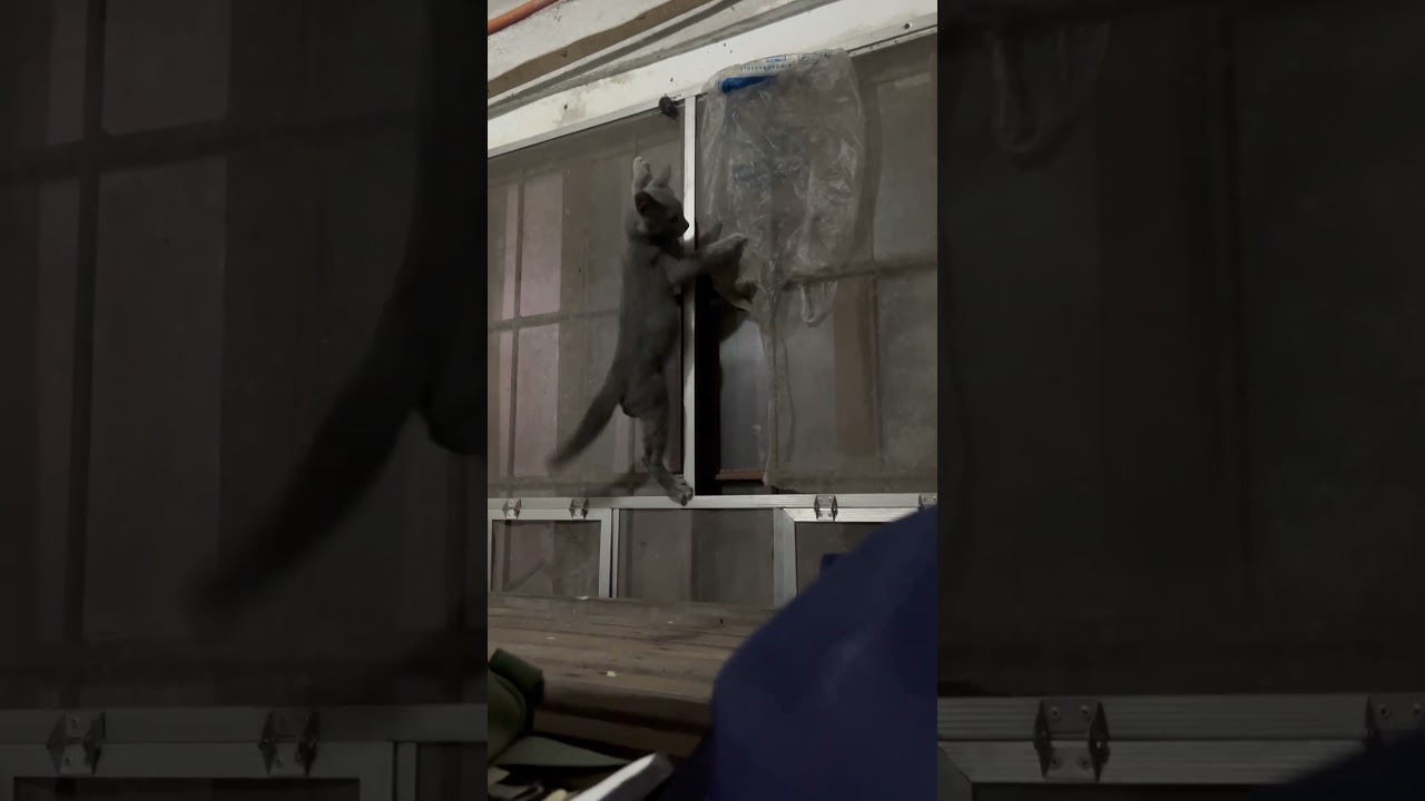 Big bug or big eyes? 😃