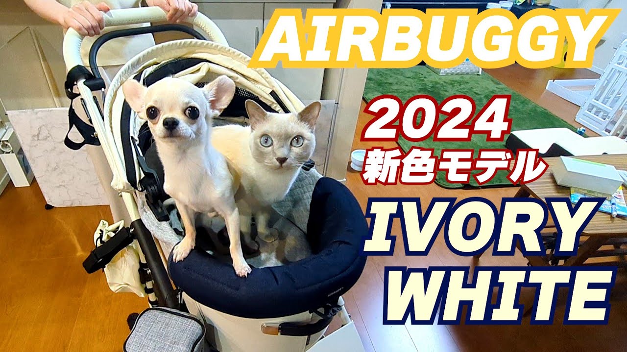 【AIRBUGGY】【ロシアンブルー×トンキニーズ×チワワ】2024 新色モデル プレミア クルーズライン アイボリーホワイト（#133）
