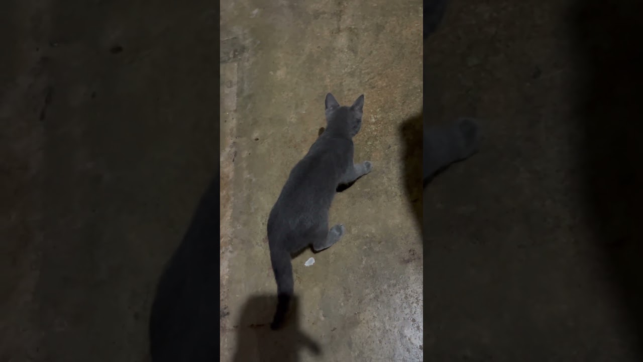 Crazy with this ballpen