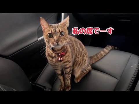 助手席はベル様のお席