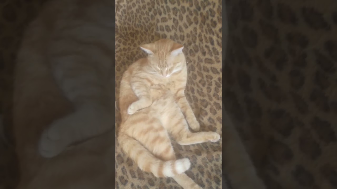 30 июля 2024 г.