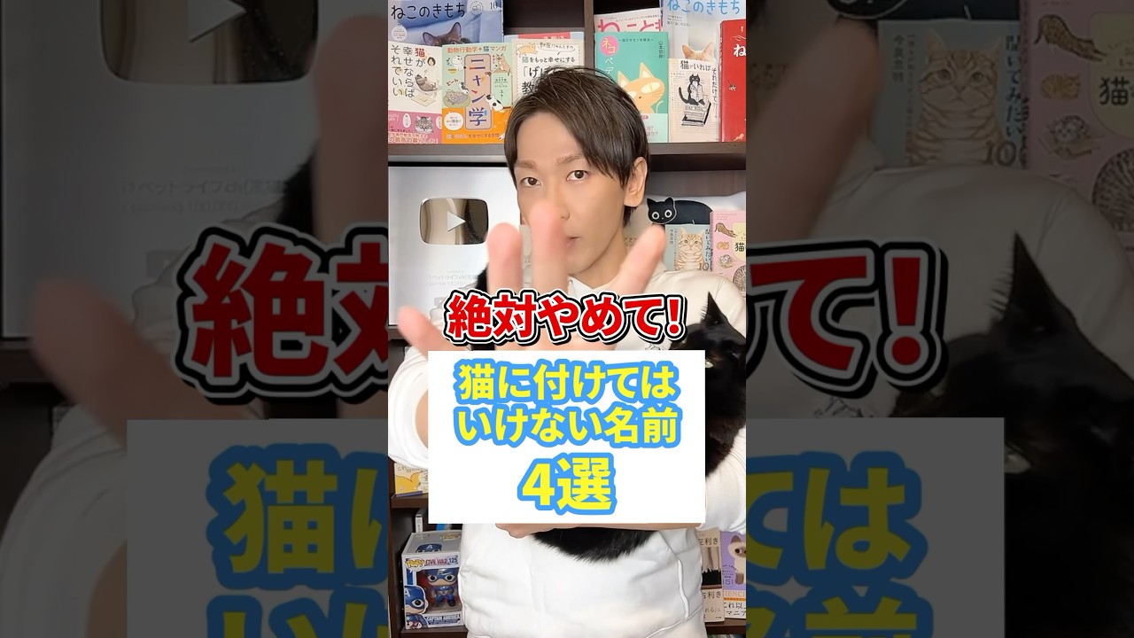 絶対やめて！猫に付けてはいけない名前4選 #猫 #保護猫 #ねこ