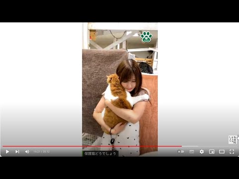 保護猫どうでしょう！真夏の夜のライブ配信