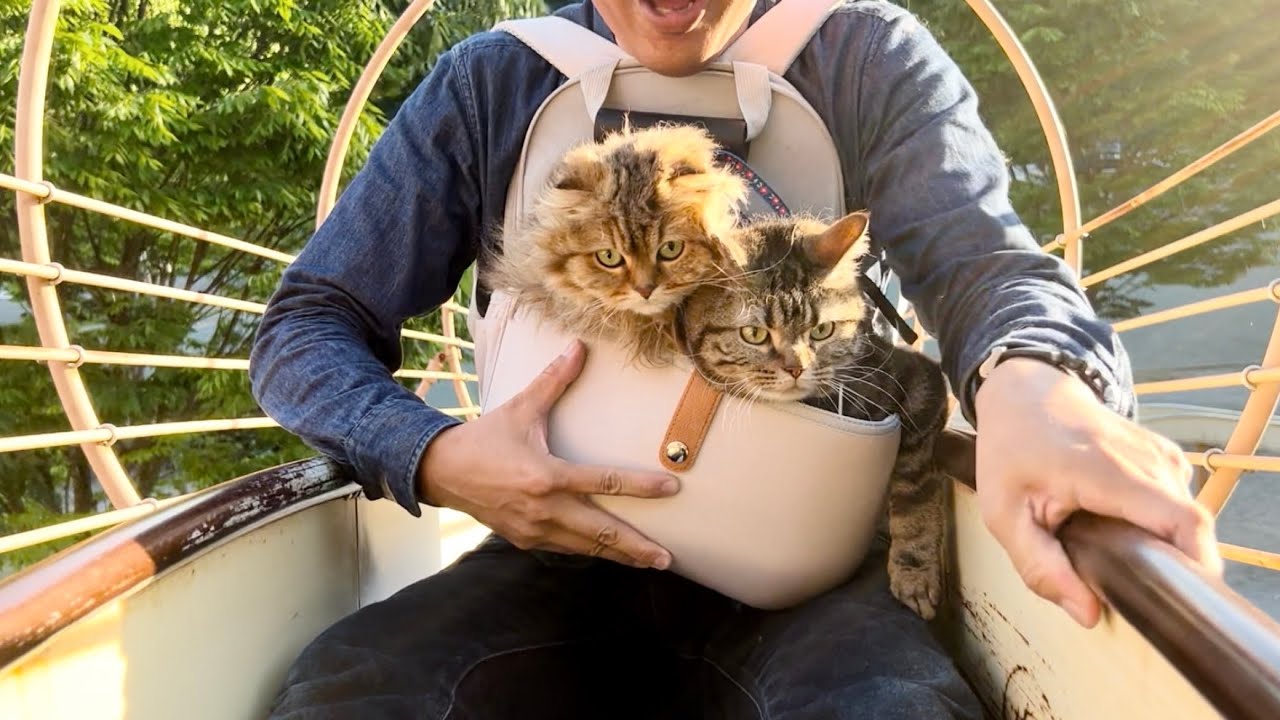 猫と巨大なすべり台を滑ったら迫力がヤバすぎた!!