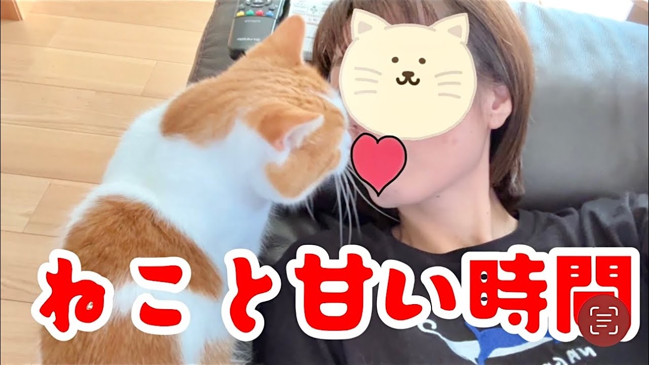 愛猫とジャれてたら幸せすぎた【短足マンチカン】