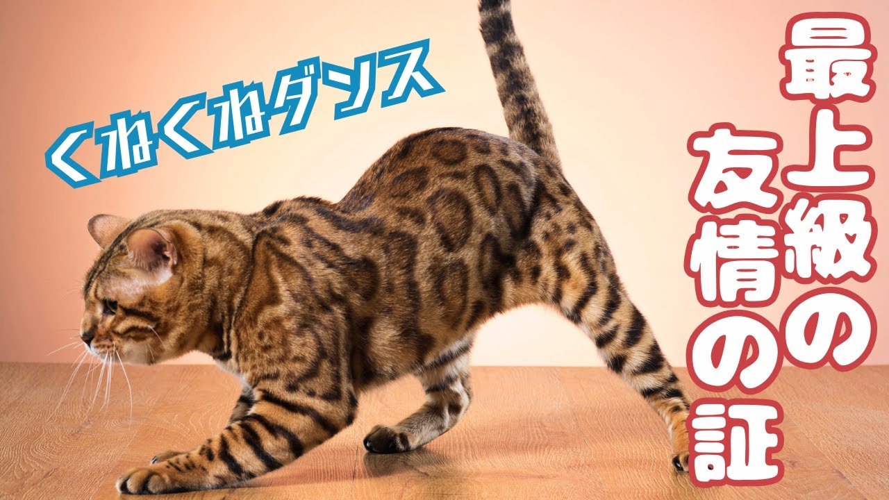 くねくねダンスは最上級の友情の証。