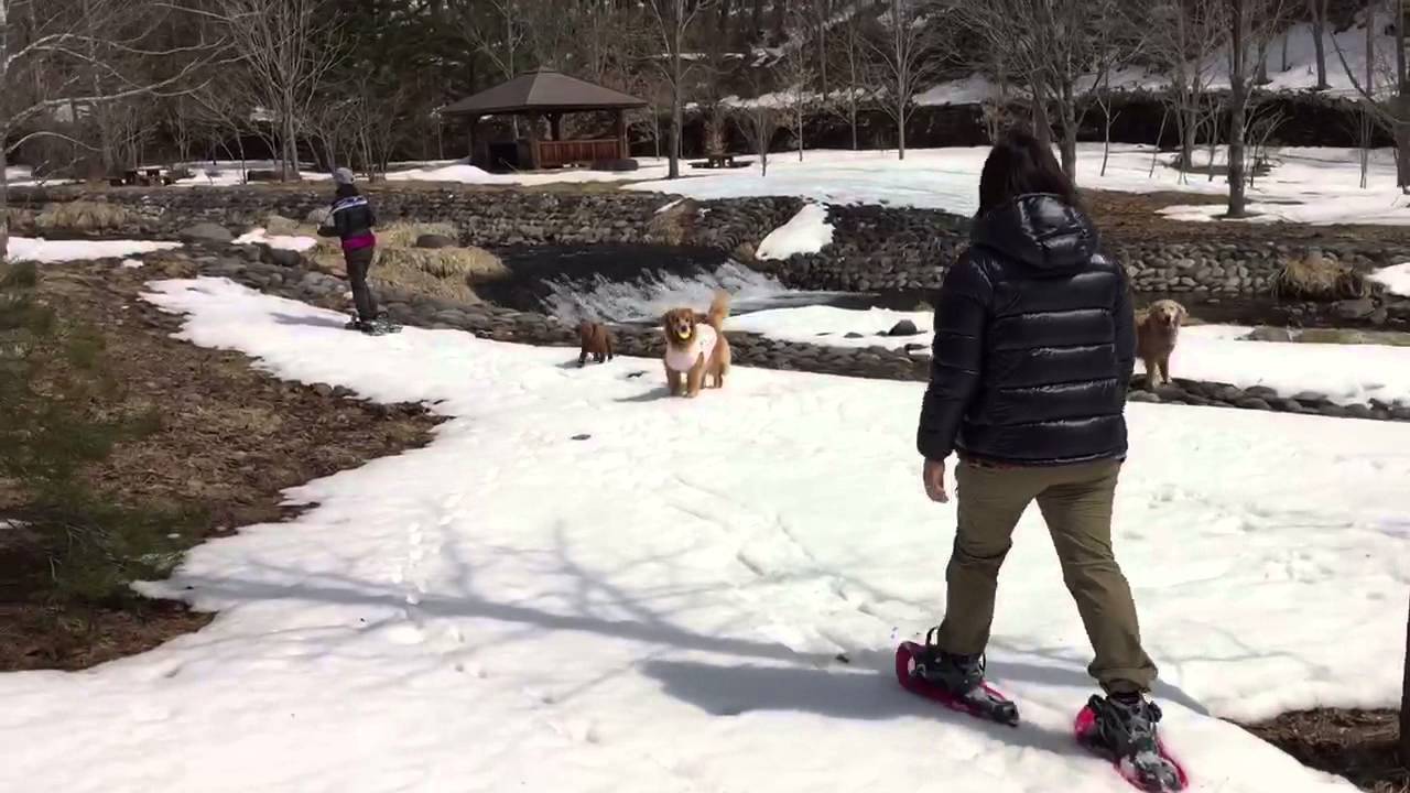 軽井沢スノーシュー３