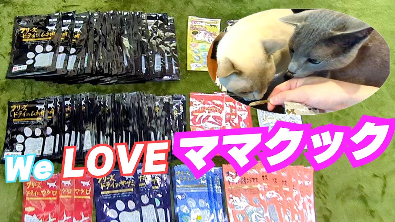 【ママクック】【ロシアンブルー×トンキニーズ×チワワ】3年分のフリーズドライのバーコードを送ってみた（#134）