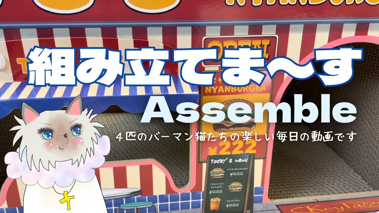 バーマン猫ラフとガブとウリ【組み立てま〜す】Assemble（バーマン猫）Birman/Cat
