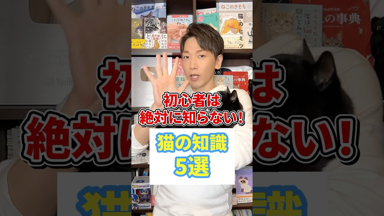 初心者は絶対知らない！猫の知識5選 #猫 #猫のいる暮らし #ねこ