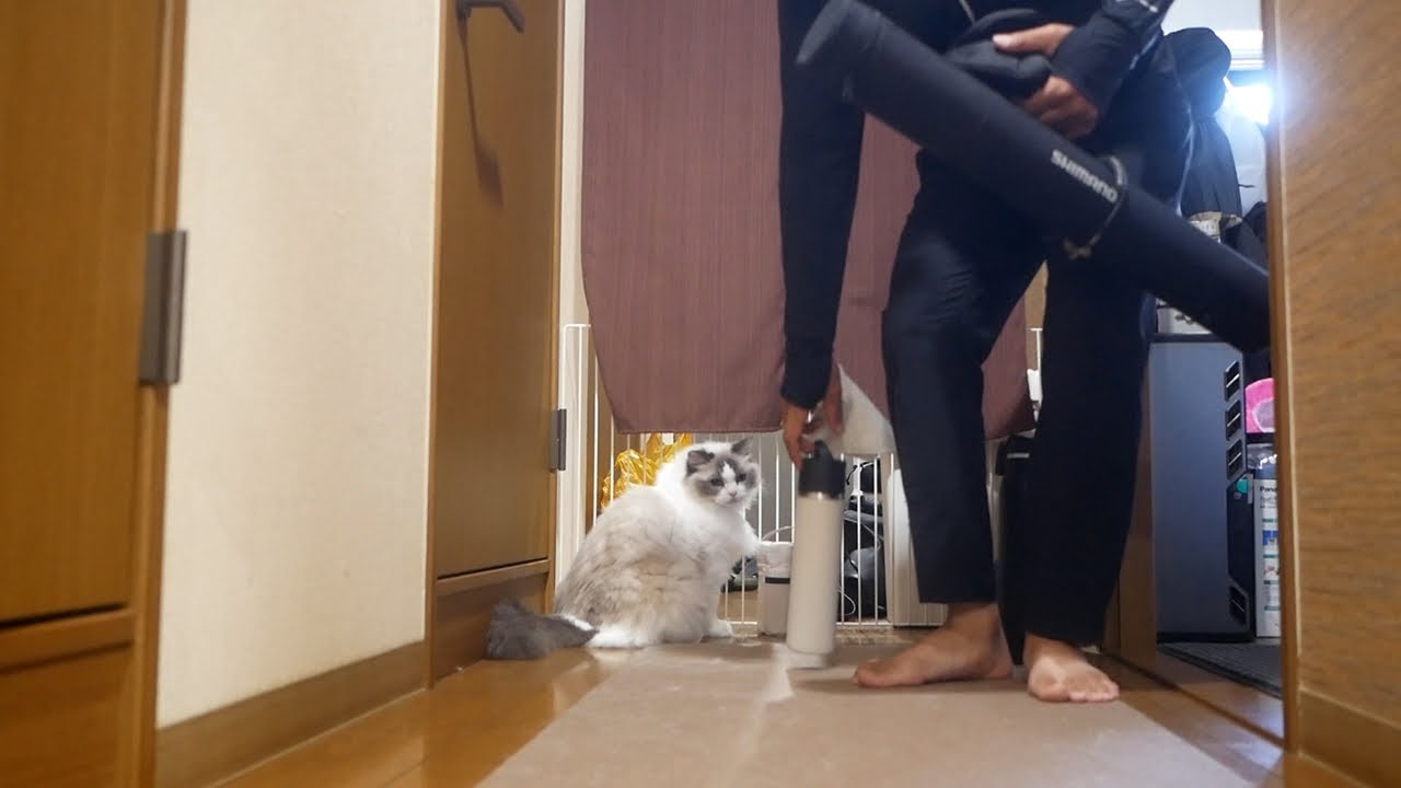 🎣SHIMANOさん、助けてください…