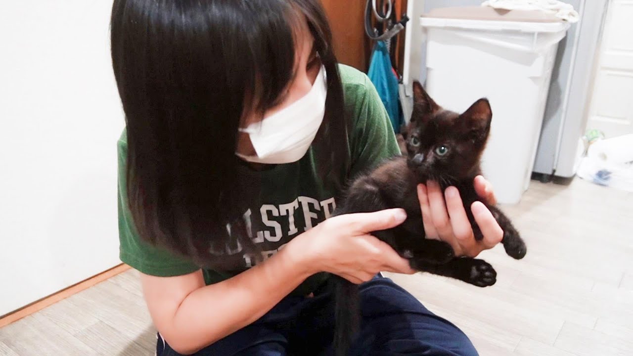 保護して３日目、子猫に変化が現れ始めた！人間の心情の変化