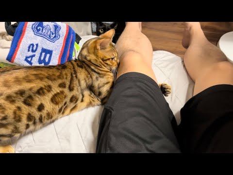なぞのあそび