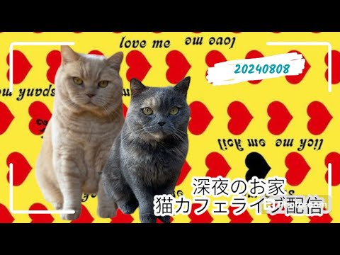 深夜のお家猫カフェライブ配信　１３９