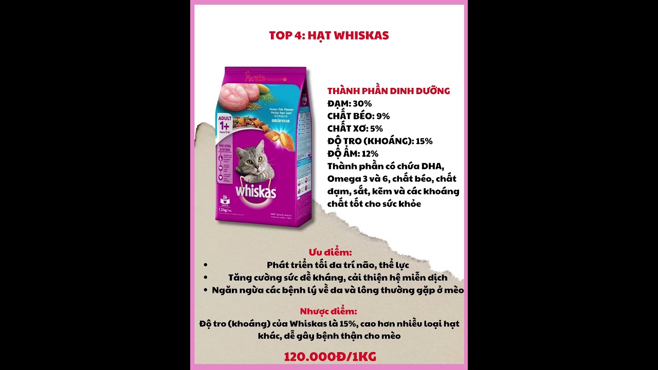 Top 5 loại hạt cho mèo