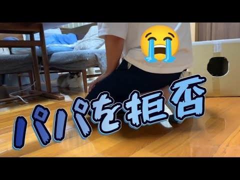 猫とヘイトごはん｜パパ、福井出張（後編）