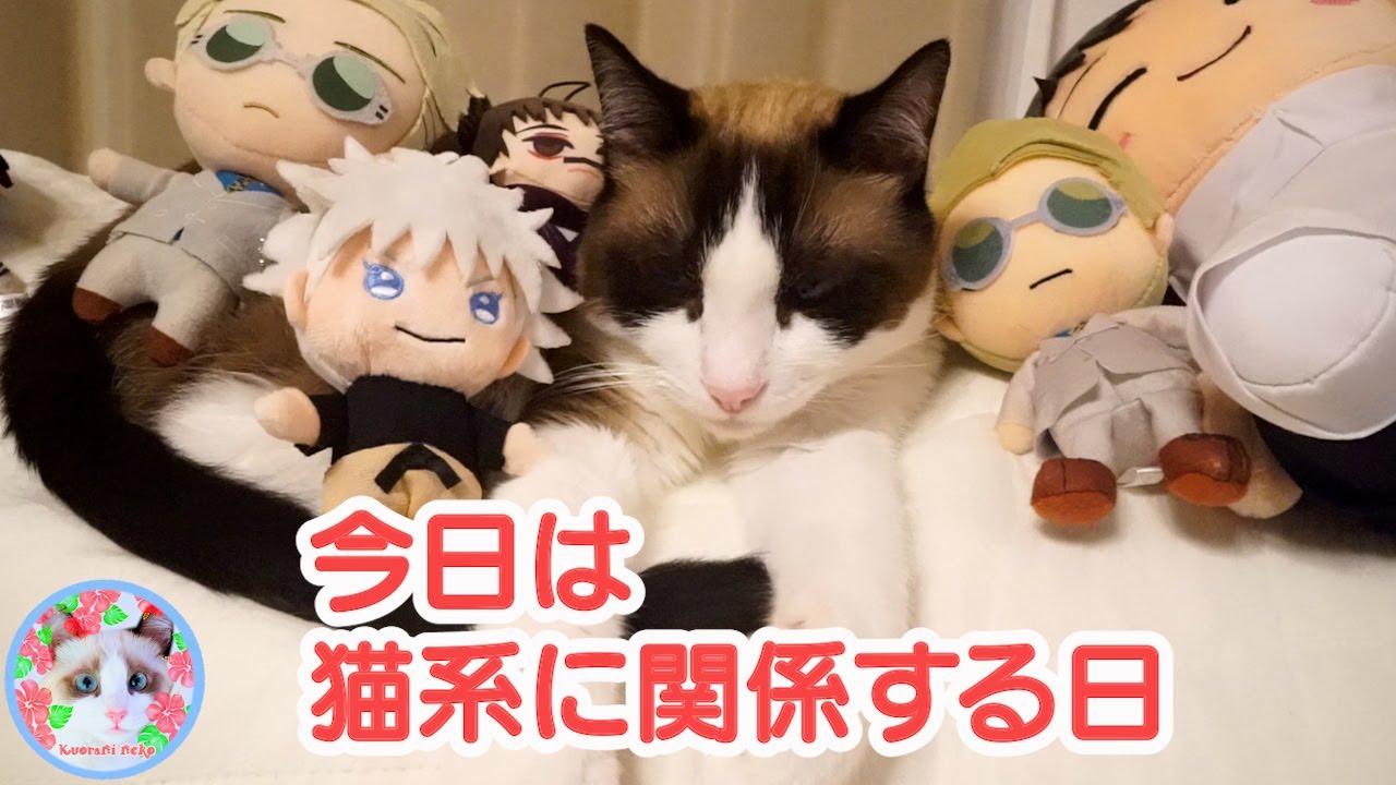 今日は何の日か分かりますかにゃ？8月8日  There are many cat days in the world