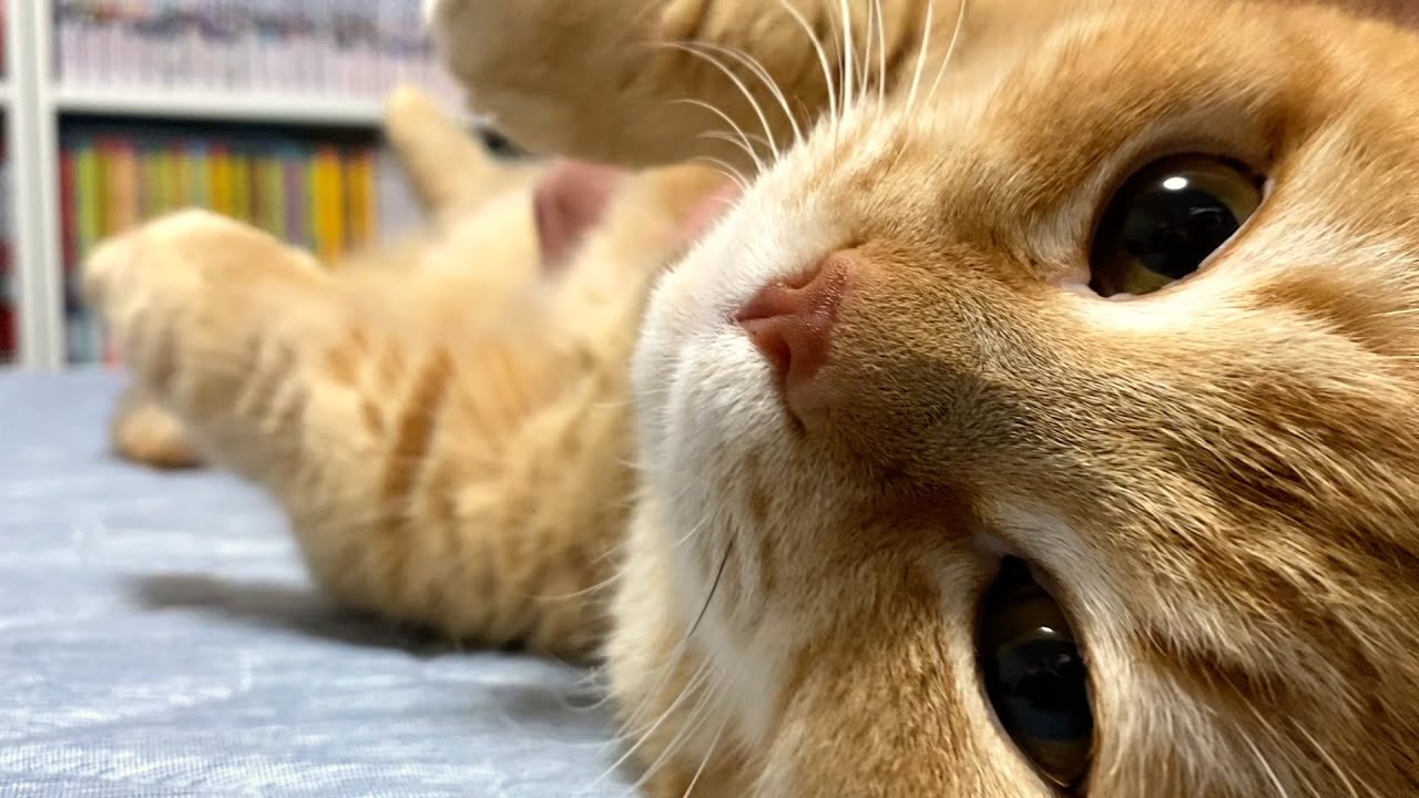 【甘えん坊120％】中年男だけの休日