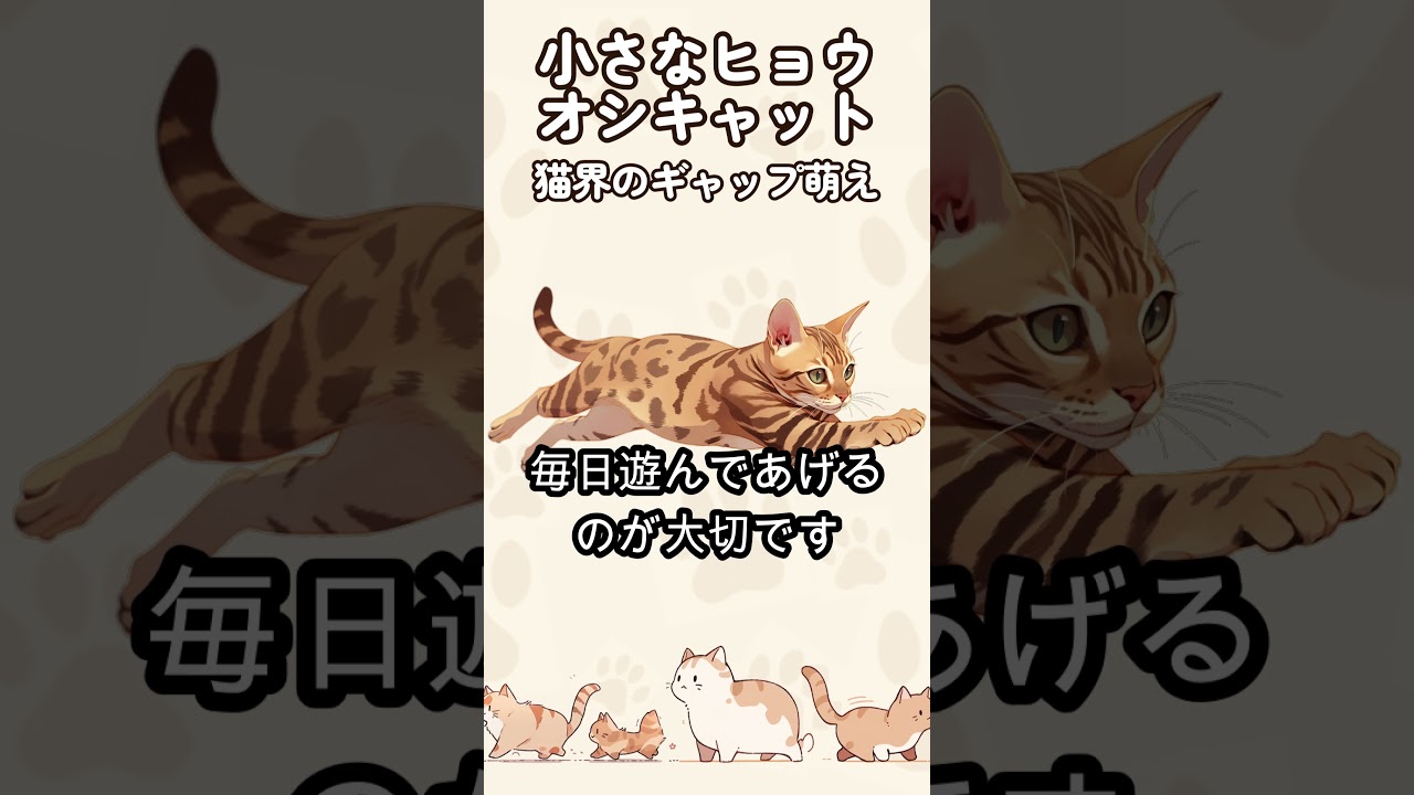 【外見とのギャップがたまらない】かっこかわいいオシキャットと暮らそう！