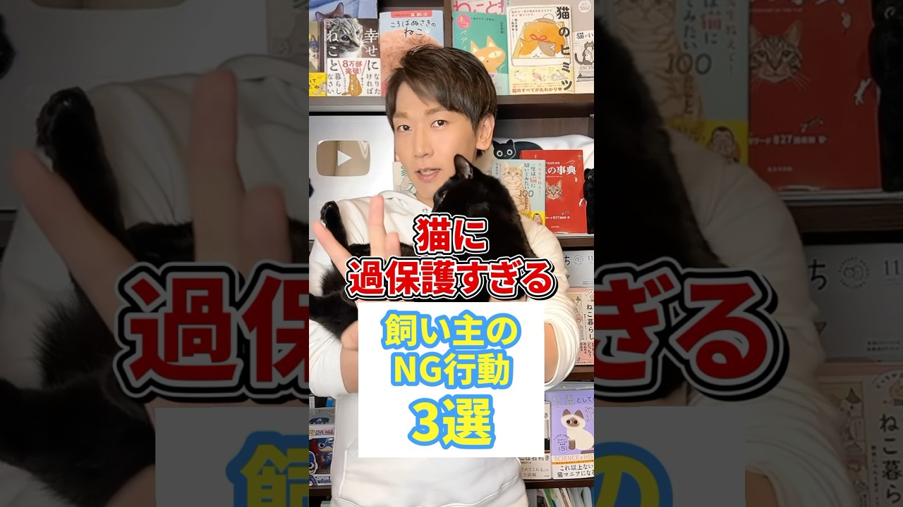 猫に過保護すぎる飼い主のNG行動３選 #猫 #猫のいる暮らし #ねこ